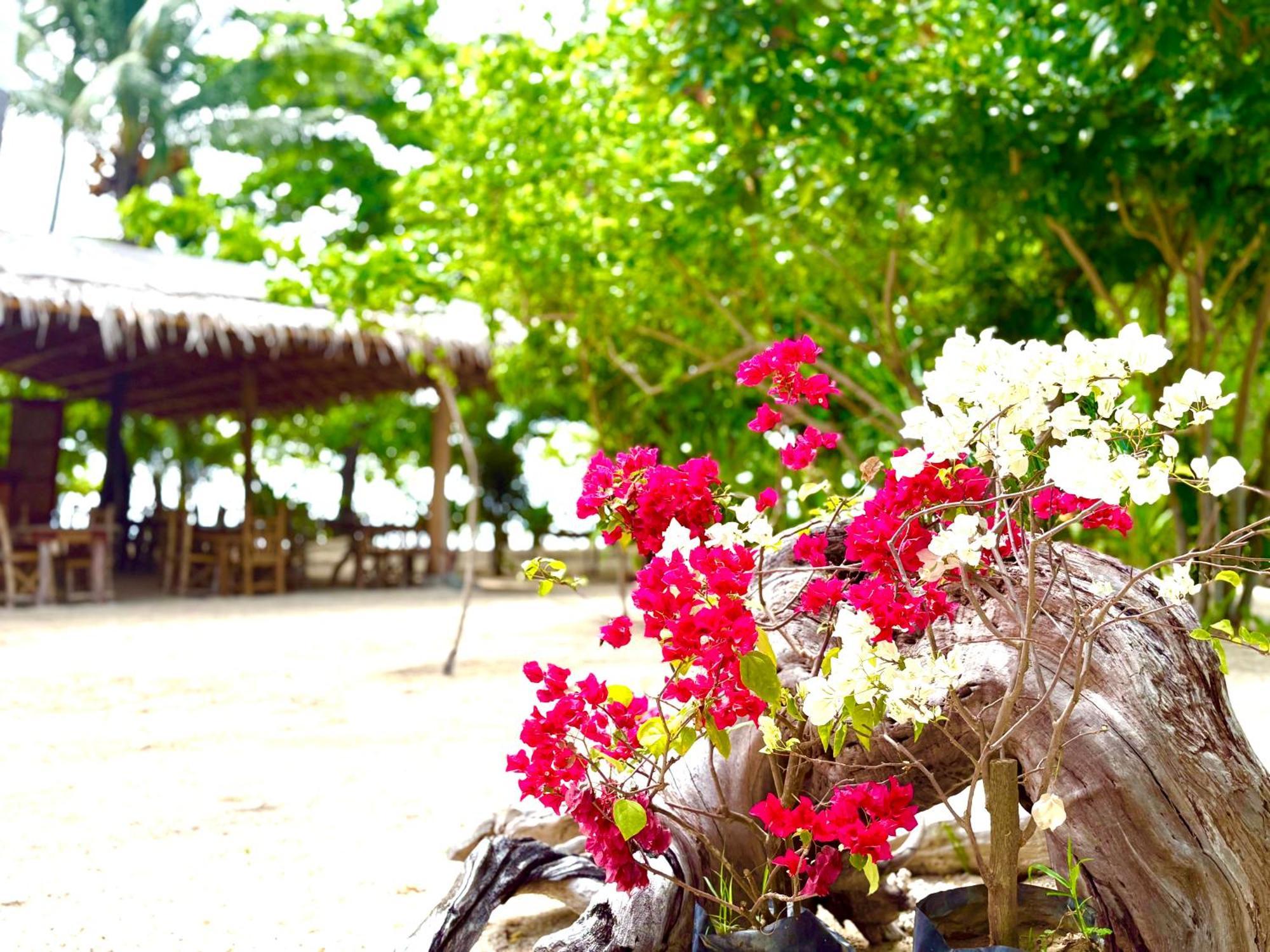 Hotel Dosplaya Ecocamp El Nido Zewnętrze zdjęcie
